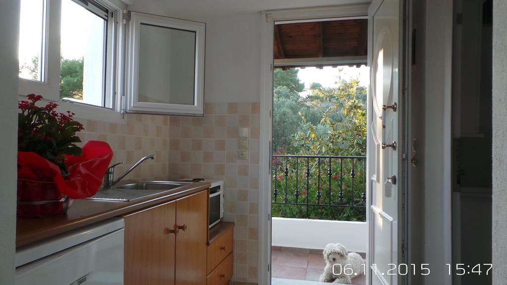 Skiathos Studios Panorama Rom bilde